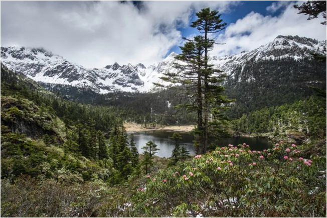 天然成分大PK，博然堂携修护界“顶流”燃爆敏感肌市场