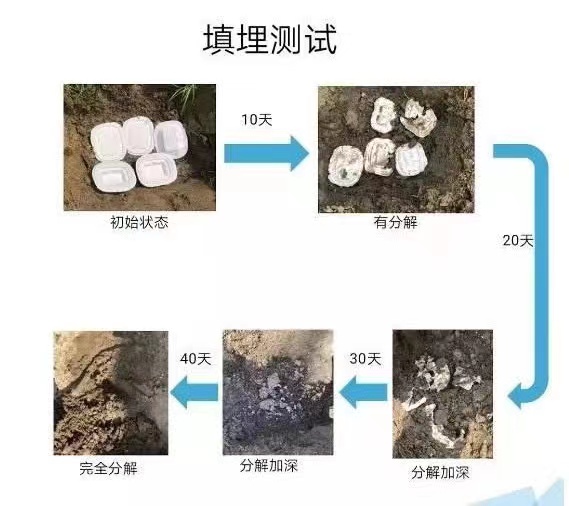 滨州市骏达再生源环保纤维有限公司“变废为宝”，秸秆还能做餐具