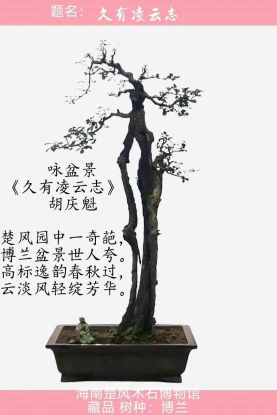 聚焦阅兵盛典 墨颂强国风华—胡庆魁