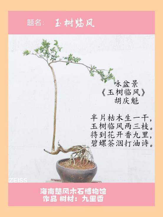 聚焦阅兵盛典 墨颂强国风华—胡庆魁