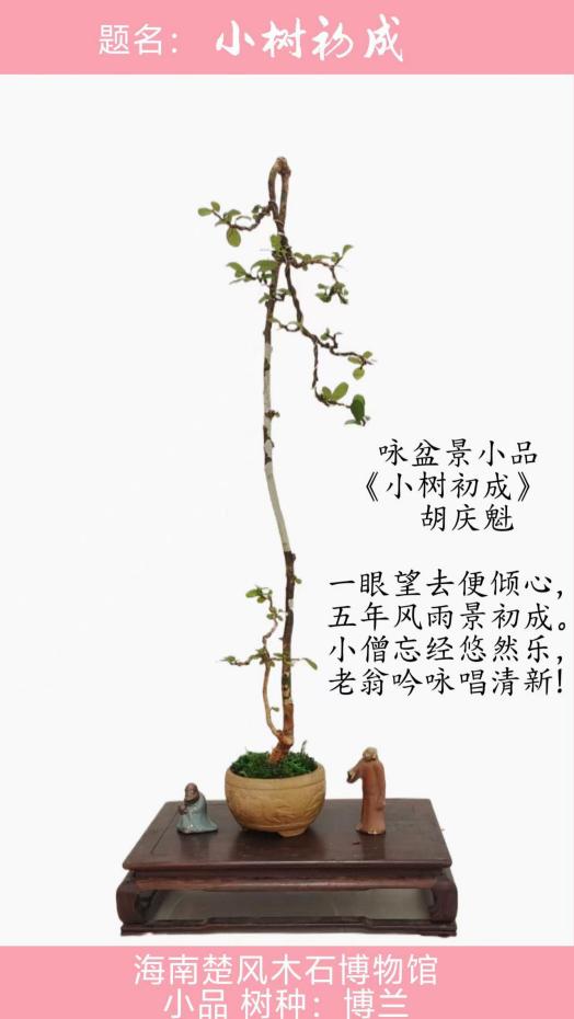 聚焦阅兵盛典 墨颂强国风华—胡庆魁