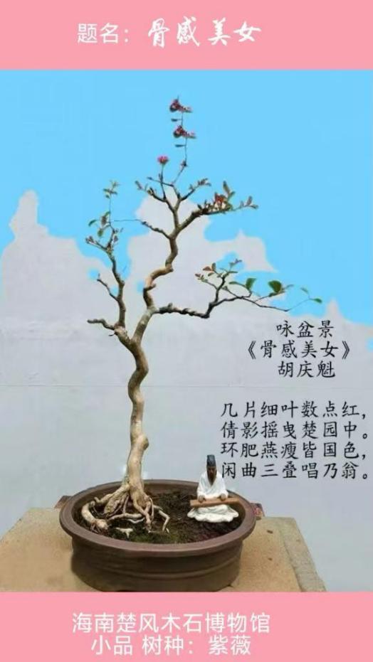 聚焦阅兵盛典 墨颂强国风华—胡庆魁