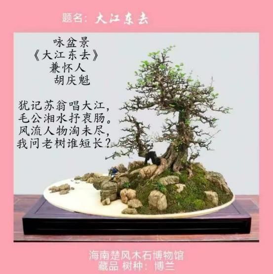 聚焦阅兵盛典 墨颂强国风华—胡庆魁