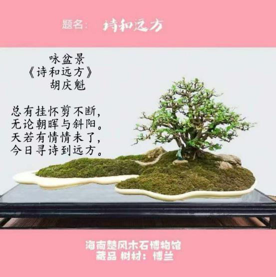 聚焦阅兵盛典 墨颂强国风华—胡庆魁