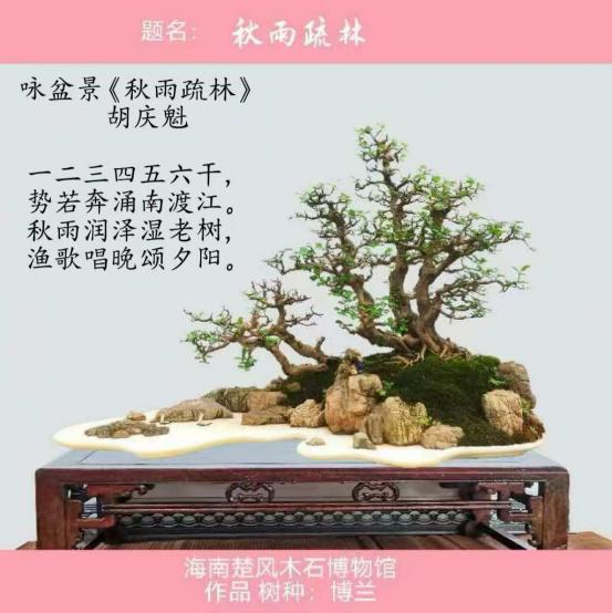 聚焦阅兵盛典 墨颂强国风华—胡庆魁