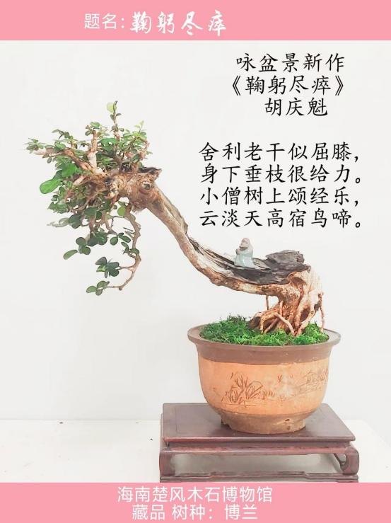 聚焦阅兵盛典 墨颂强国风华—胡庆魁