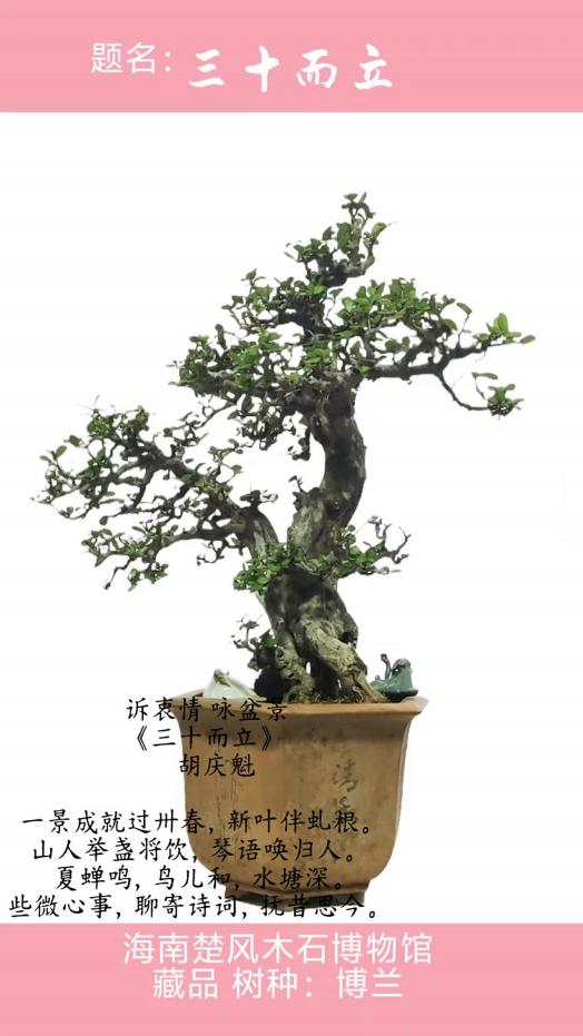 聚焦阅兵盛典 墨颂强国风华—胡庆魁