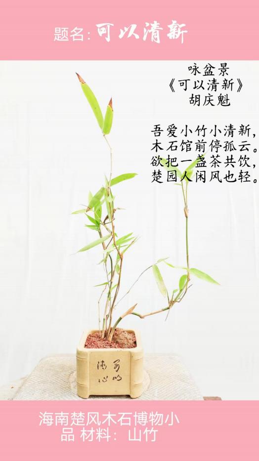 聚焦阅兵盛典 墨颂强国风华—胡庆魁