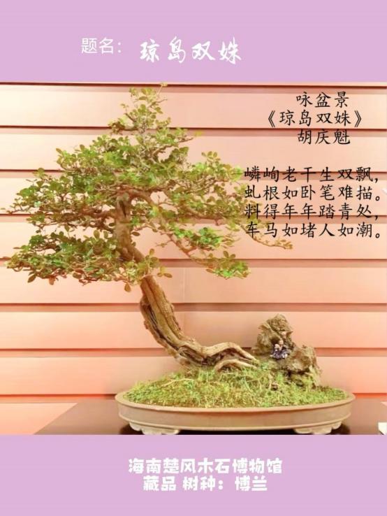 聚焦阅兵盛典 墨颂强国风华—胡庆魁