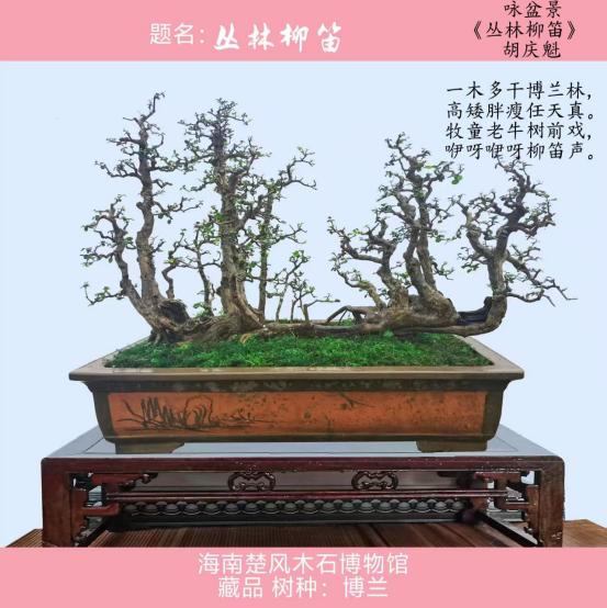 聚焦阅兵盛典 墨颂强国风华—胡庆魁