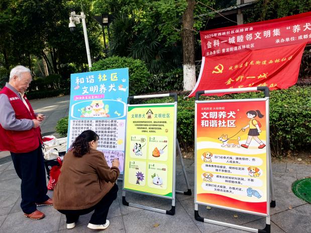 西林社区金科一城睦邻文明集 “养犬‘有’标・快递有‘道’”第6张-成都新闻网 西林社区金科一城睦邻文明集 “养犬‘有’标・快递有‘道’”第6张