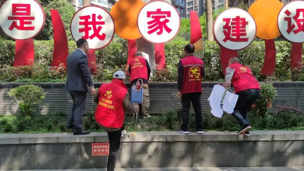 西林社区金科一城睦邻文明集 “养犬‘有’标・快递有‘道’”第11张-成都新闻网 西林社区金科一城睦邻文明集 “养犬‘有’标・快递有‘道’”第11张