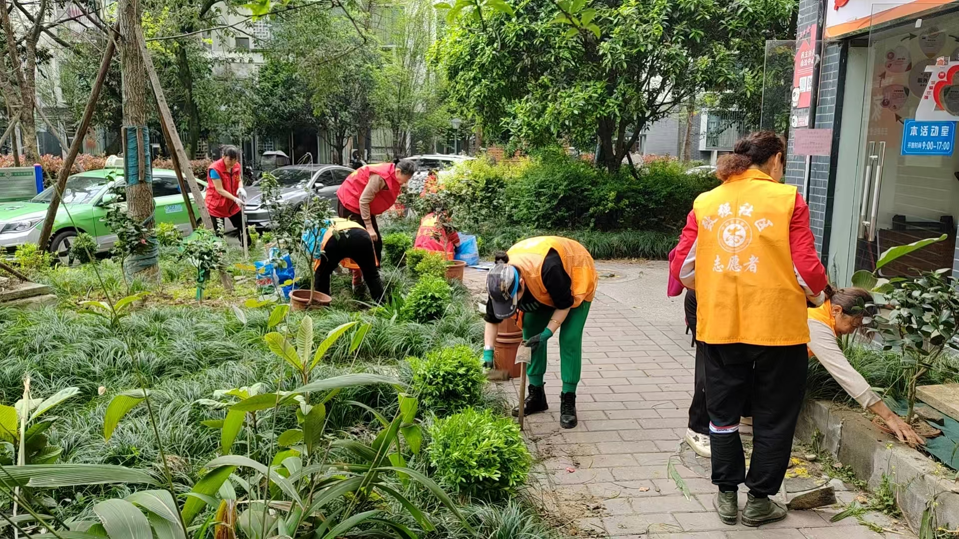 “家园换新・洁净有序”微项目活动