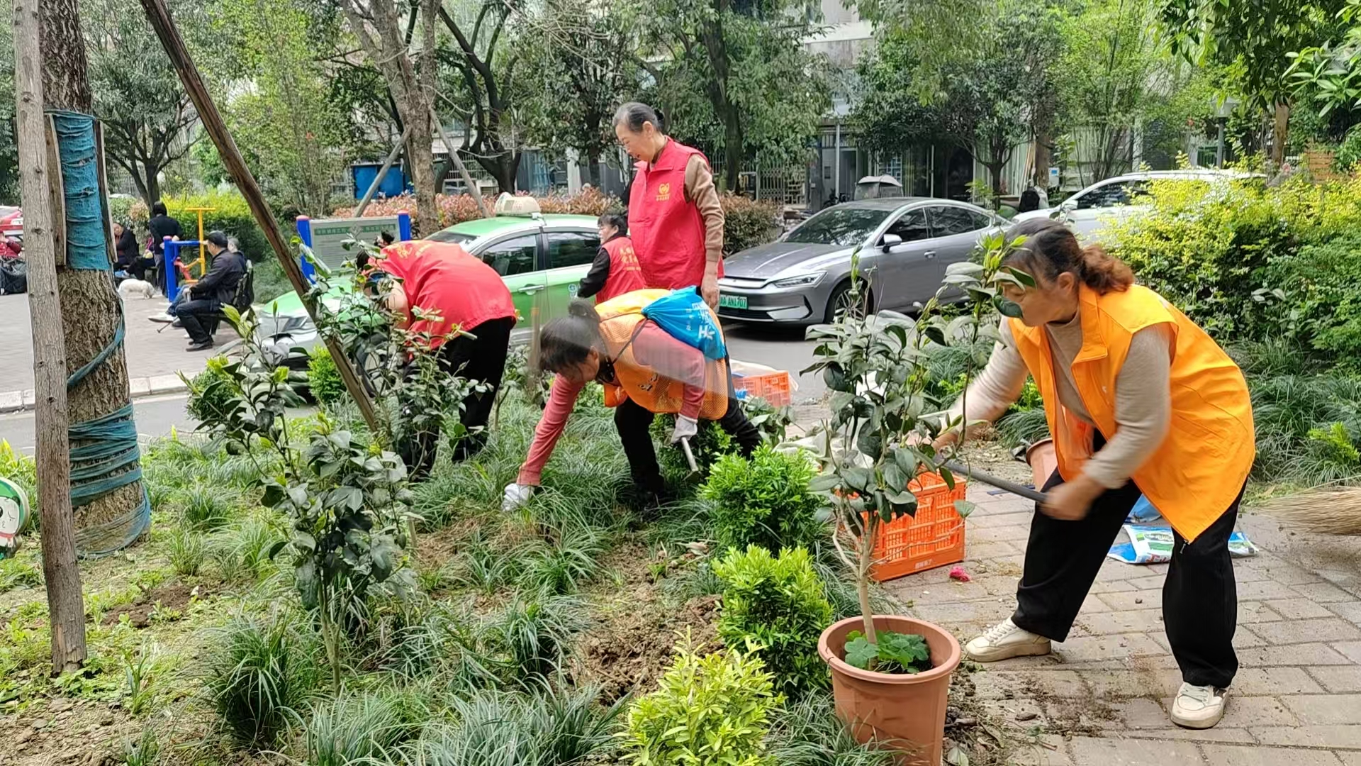 “家园换新・洁净有序”微项目活动第3张-成都新闻网 “家园换新・洁净有序”微项目活动第3张
