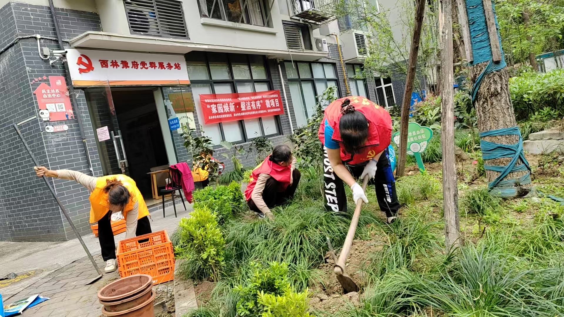 “家园换新・洁净有序”微项目活动第4张-成都新闻网 “家园换新・洁净有序”微项目活动第4张