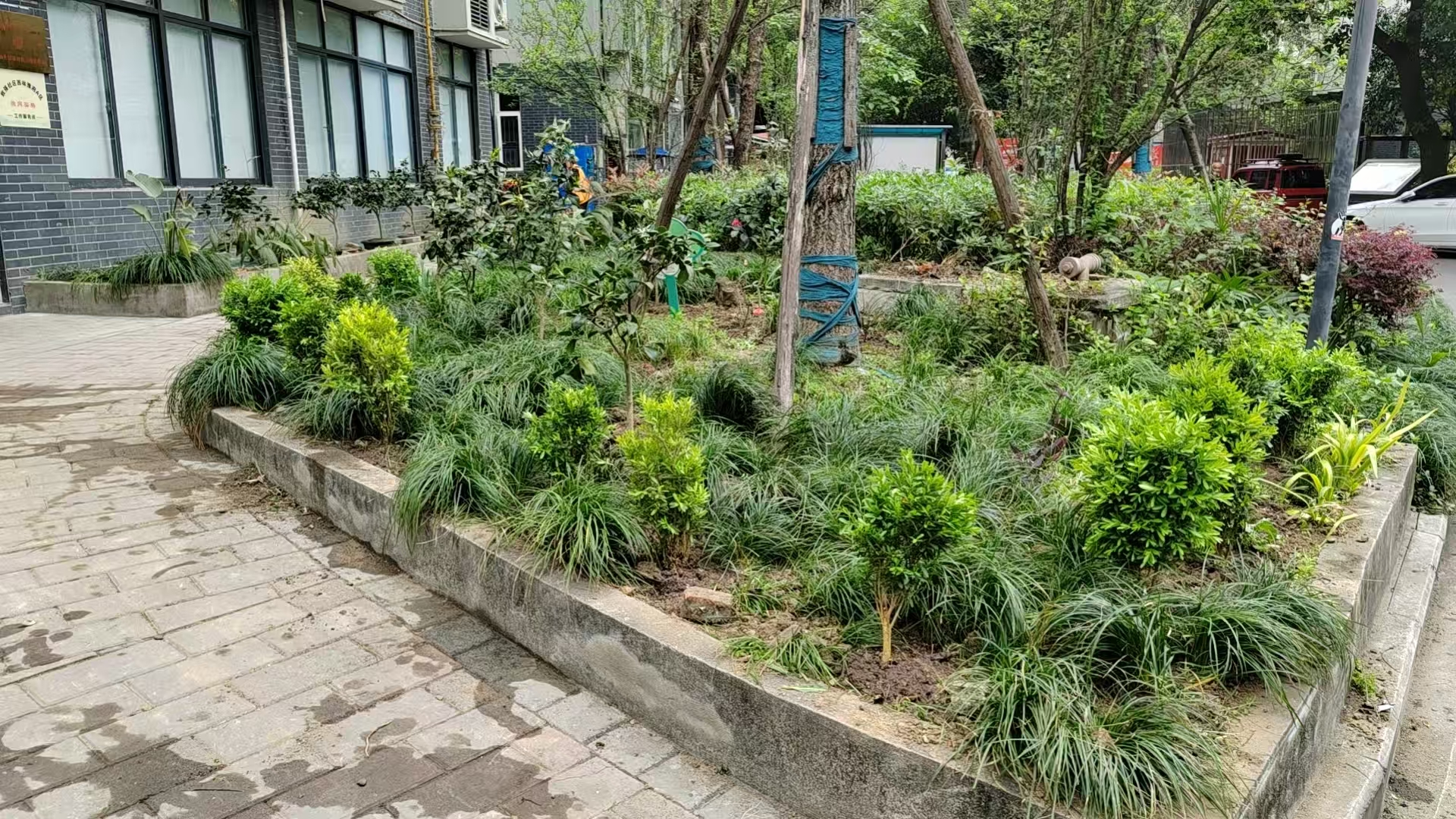 “家园换新・洁净有序”微项目活动第5张-成都新闻网 “家园换新・洁净有序”微项目活动第5张